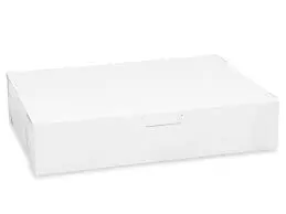 [BB 19X14X4] Bakery Box White Bakery Box 19x14x4 Units 50u