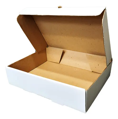 D/C ECT 032 B/F WHITE PLAIN 19.8125" X 30"